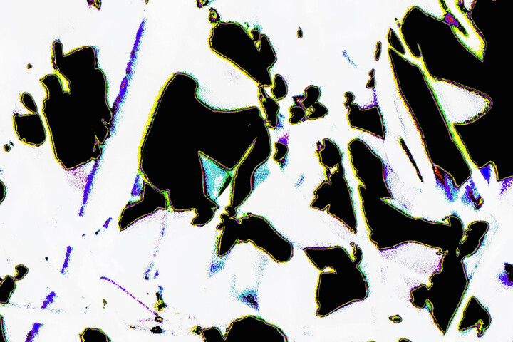 "Magnolia – image 73…" başlıklı Dijital Sanat Giorgio Gerardi tarafından, Orijinal sanat, 2D Dijital Çalışma