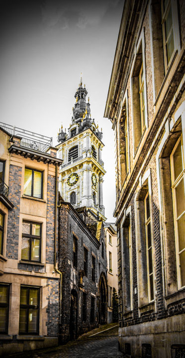 Le beffroi de Mons 摄影