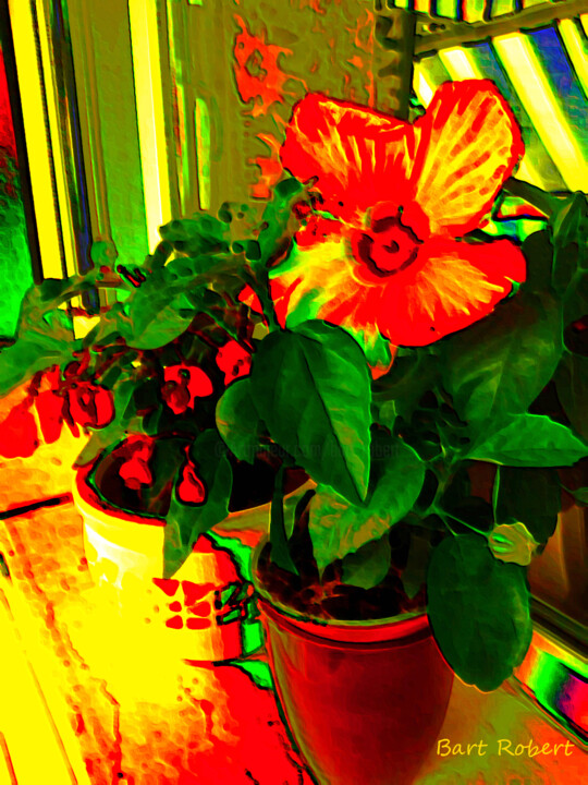 Il balcone fiorito 数字艺术