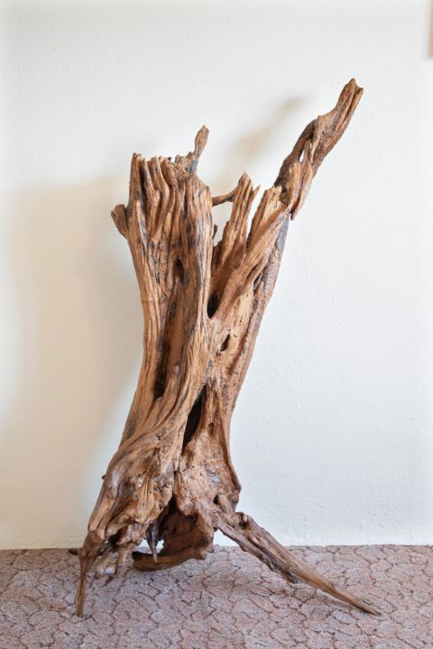 Sculpture titled "Acacia root sculptu…" by Jozef Sedmak, Original Artwork, Wood