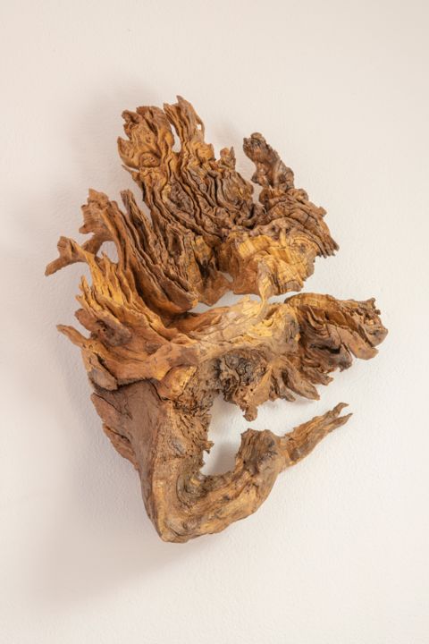 Oak wall hanging sculpture 雕塑, 23.6x15.8 in