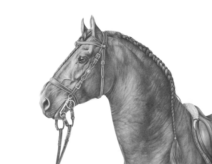「Friesian horse port…」というタイトルの描画 Irynahorseartによって, オリジナルのアートワーク, グラファイト