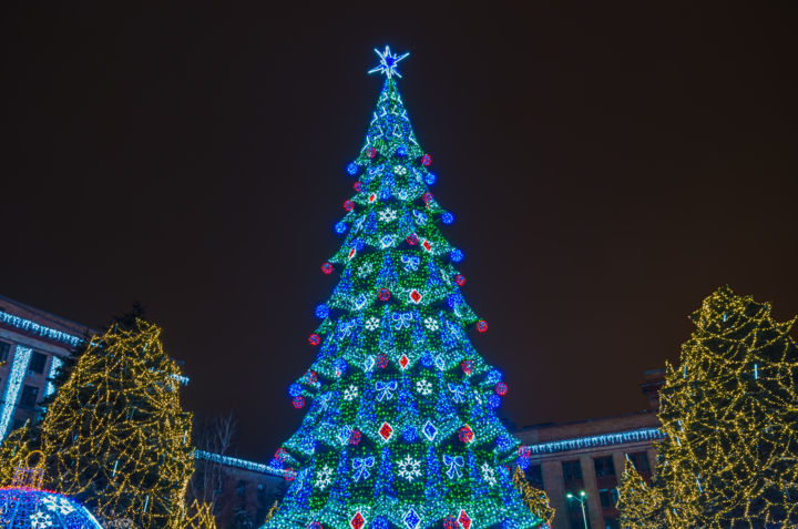 Tree christmas 摄影