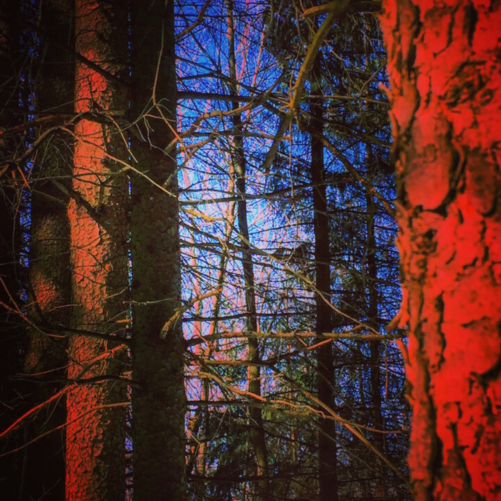 Photography titled "EMBRASEMENT" by Jean-Luc Osswald, Original Artwork, Digital Photography
