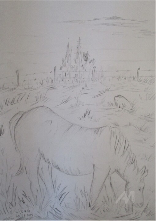 Le Cheval de Guy 图画, 16.1x11.8 in