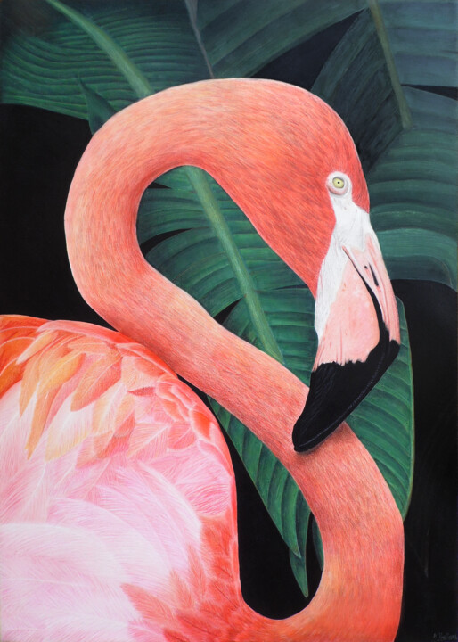 Flamant rose 绘画, 27.6x19.7 in
