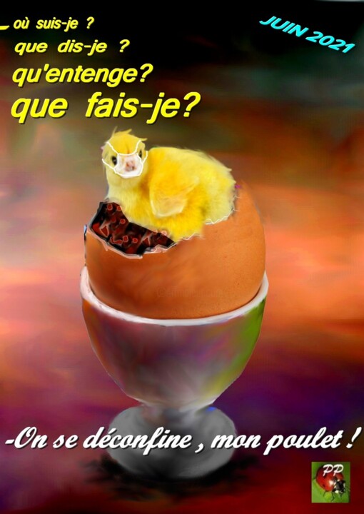MON POULET