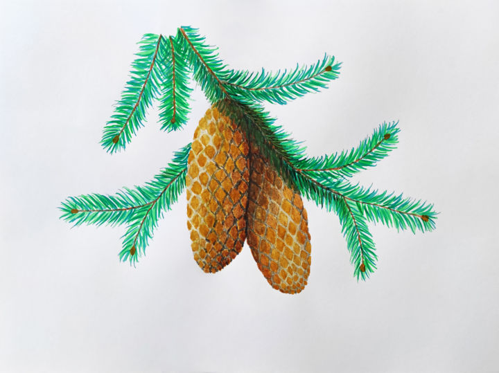 Painting titled "Spruce branch with…" by Art$Art, Original Artwork, Watercolor