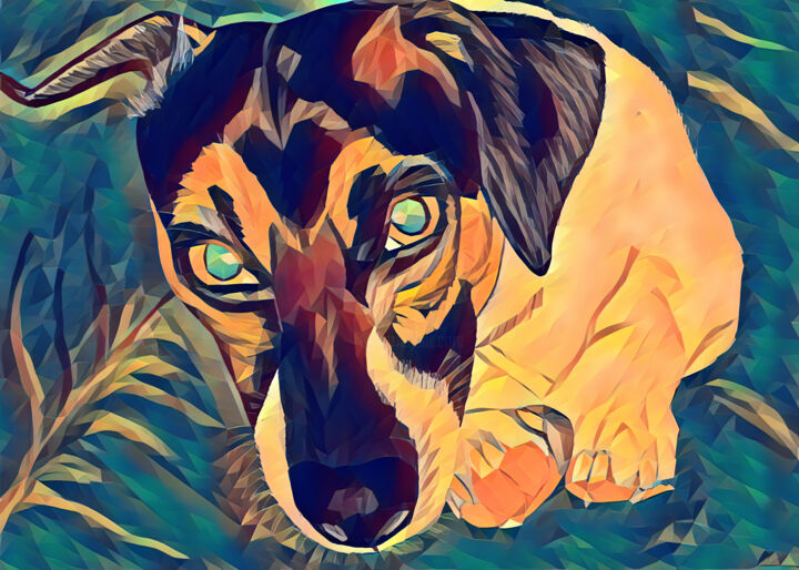 Colorful Jack Russel 数字艺术