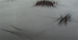 Photography titled "Sonic Ripple 3" by Tim Skinner, Original Artwork