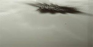 Photography titled "Sonic Ripple 8" by Tim Skinner, Original Artwork
