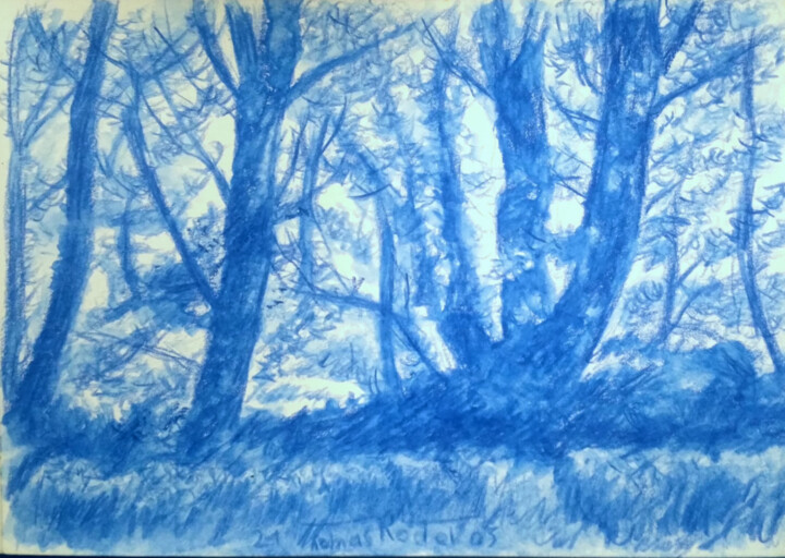 Dessin intitulée "Arbre" par Thomas Rodet, Œuvre d'art originale, Crayon