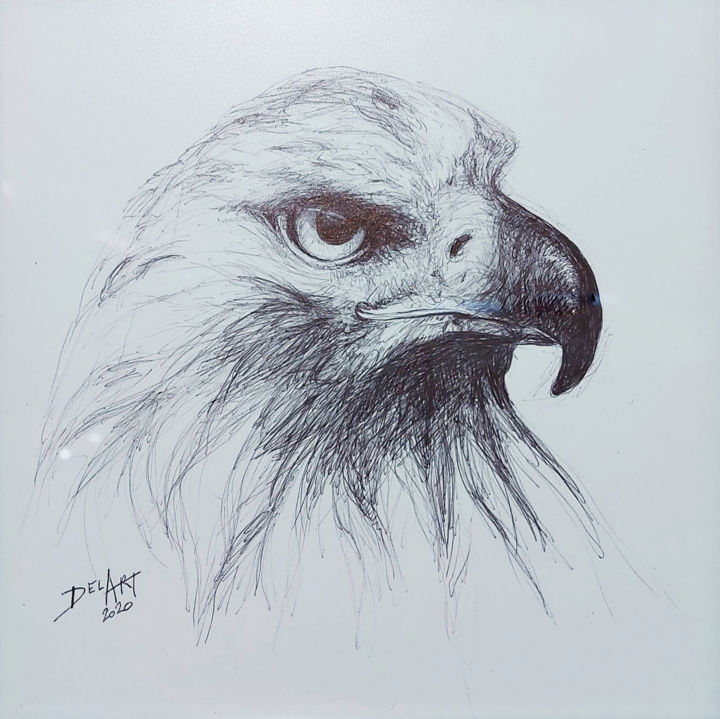 Drawing titled "Aigle" by Valérie Delbeck Del'Art, Original Artwork, Ballpoint pen Mounted on Metal