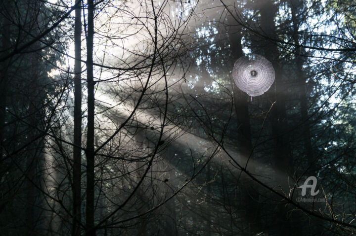 Fotografie mit dem Titel "Rays of light in th…" von Adriana Mueller, Original-Kunstwerk, Digitale Fotografie