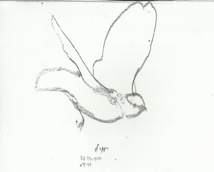 fly lıttle bırd 图画, 4.3x4.7 in