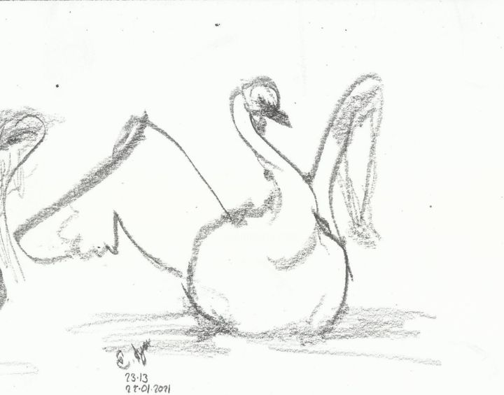 kuğu çizim 图画, 5.3x5.9 in
