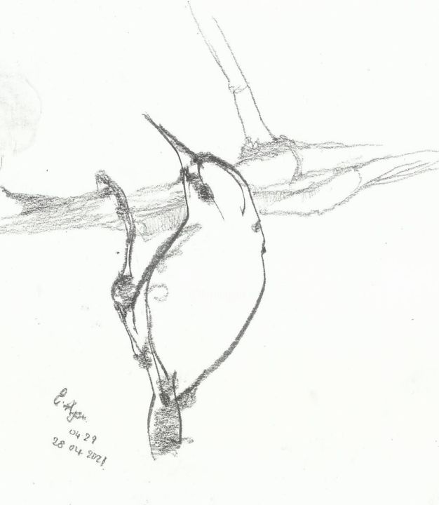 lyrıcal bırd 图画, 6.3x5.5 in