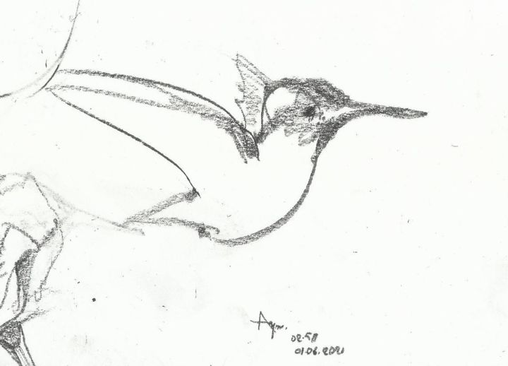 图画,  3.9x5.1 in 