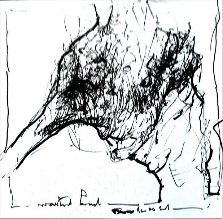 wasted land 图画