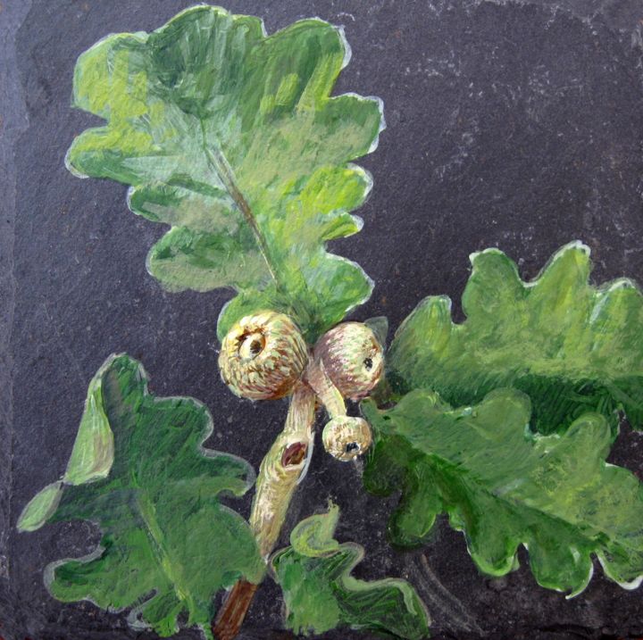 CAGUELOUP, NOS PLANTES SAINT-CYR-SUR-MER 绘画, 9.1x9.1 in