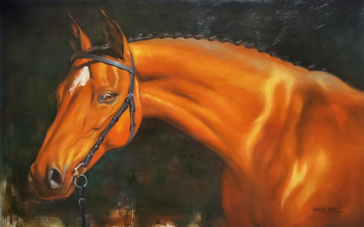 Oil painting animal horse artwork- Look you 绘画, 15.8x25.6 in
