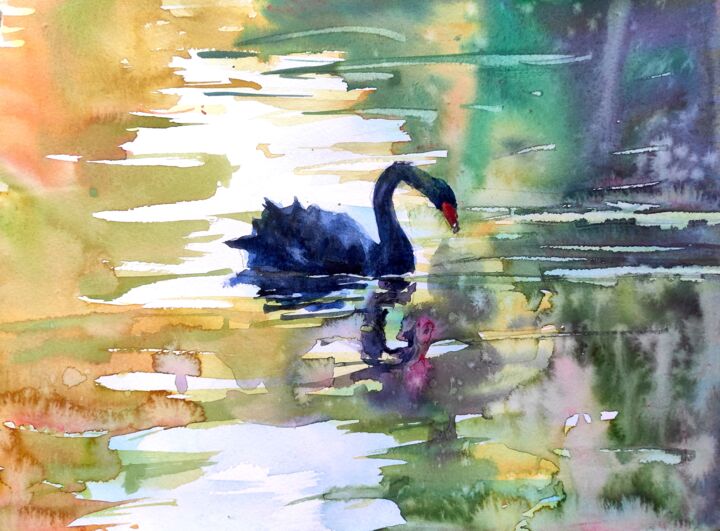 Black Swan 绘画, 8.3x11.2 in