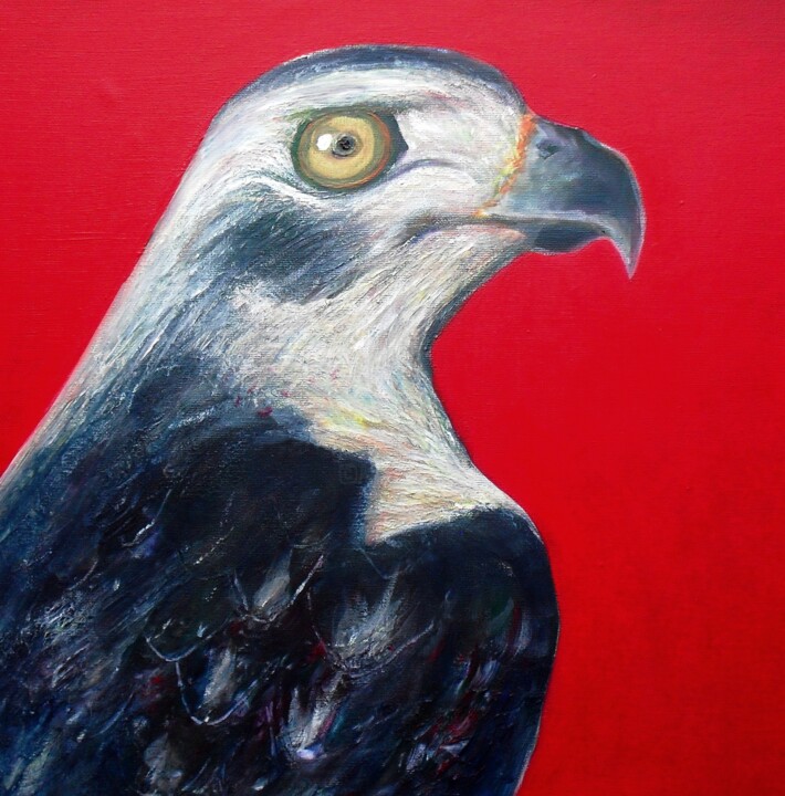 Epervier 绘画, 16x15.8 in
