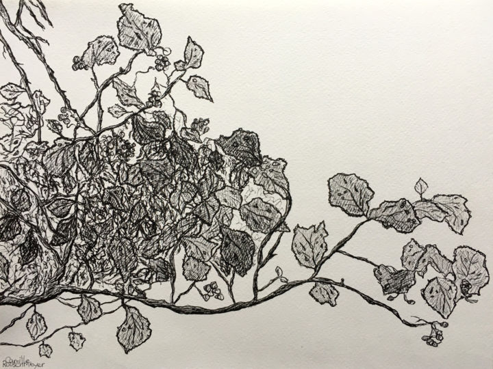 Arabesque Drawing, 9.5x12.6 in
