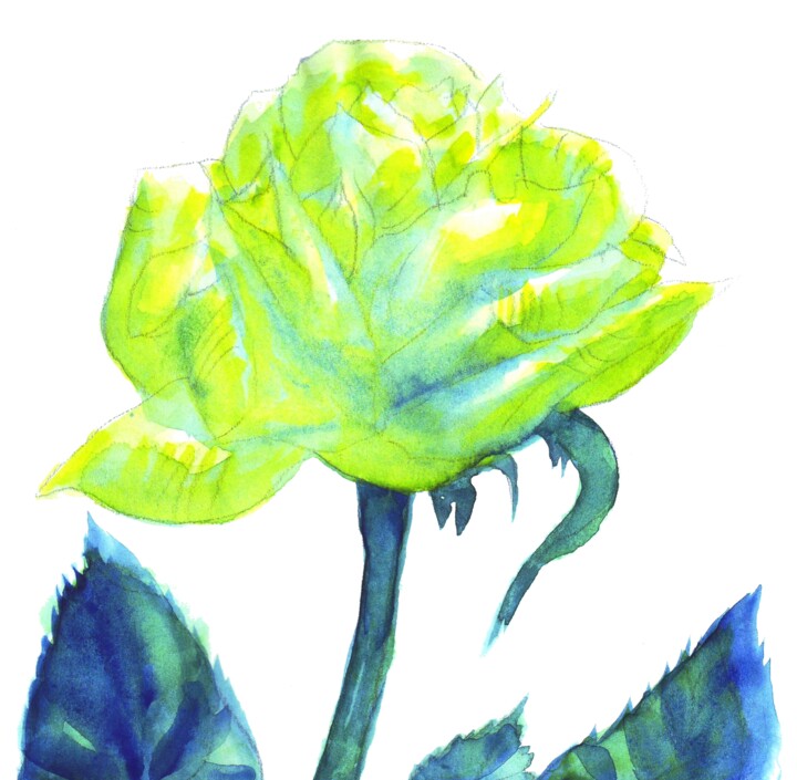 Dessin intitulée "Green and blue rose…" par Corinne Courlet, Œuvre d'art originale, Encre