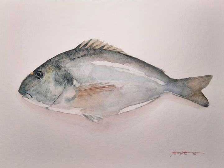 Dourada 绘画, 11x15.4 in
