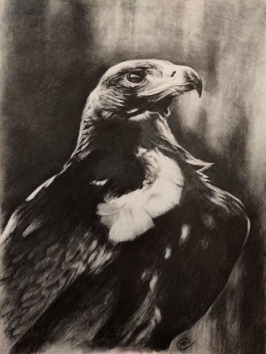 Golden eagle 图画, 16.5x11.8 in
