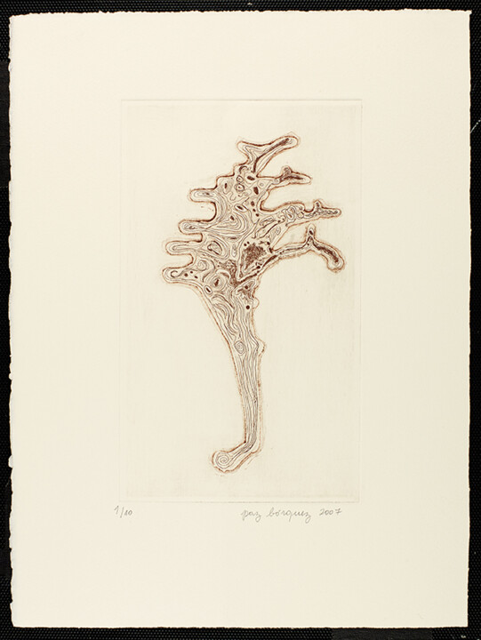 Printmaking titled "«Cartographie (piri…" by Paz Borquez-Chevallier , Original Artwork, Etching