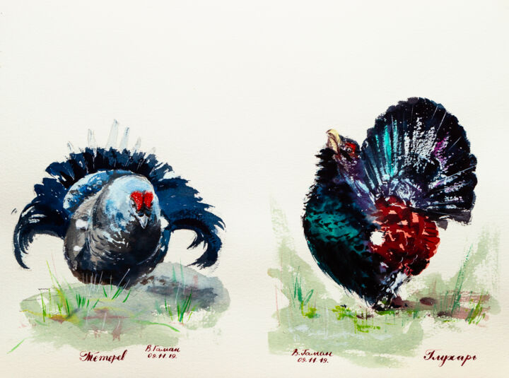 Painting titled "Black grouse and wo…" by Viktoriia Gaman, Original Artwork, Watercolor
