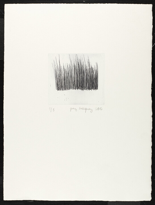 Printmaking titled "«Poils»" by Paz Borquez-Chevallier , Original Artwork, Engraving