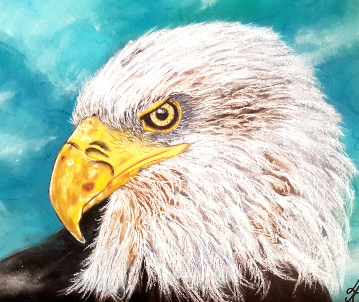 RAPACE 图画, 9.5x11.8 in