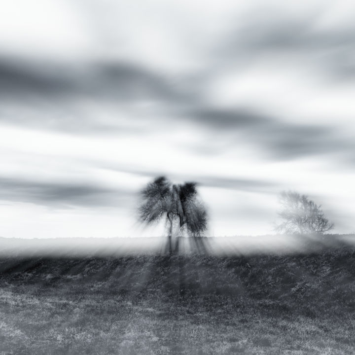 Photography,  31.5x31.5 in 