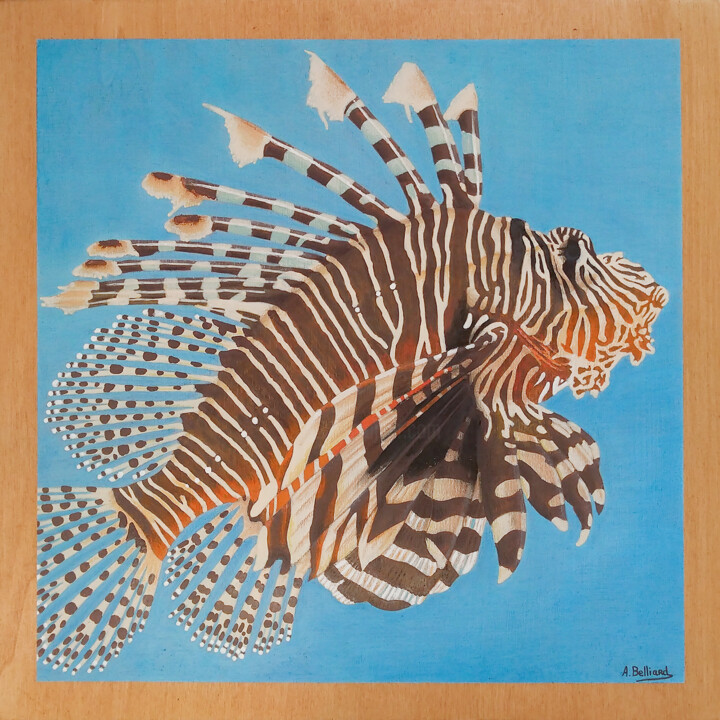 Rascasse volante 绘画, 11.8x11.8 in