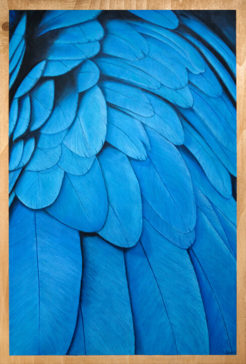 Blue Ara 绘画, 23.6x15.8 in
