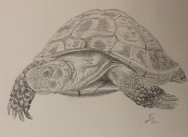 图画,  5.5x7.9 in 