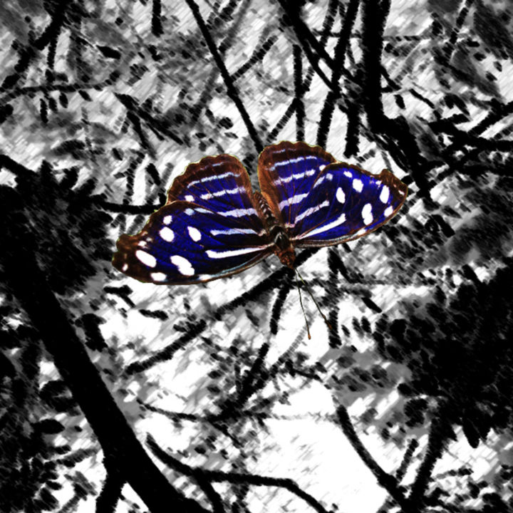 Fotografie getiteld "Beauty" door Roxana Ferllini, Origineel Kunstwerk, Foto Montage