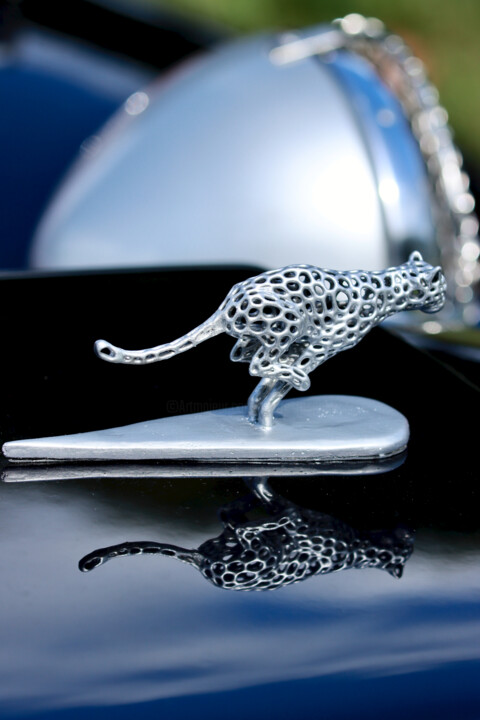 Photography titled "Panther (2)" by Pierre-Yves Rospabé, Original Artwork, Digital Photography