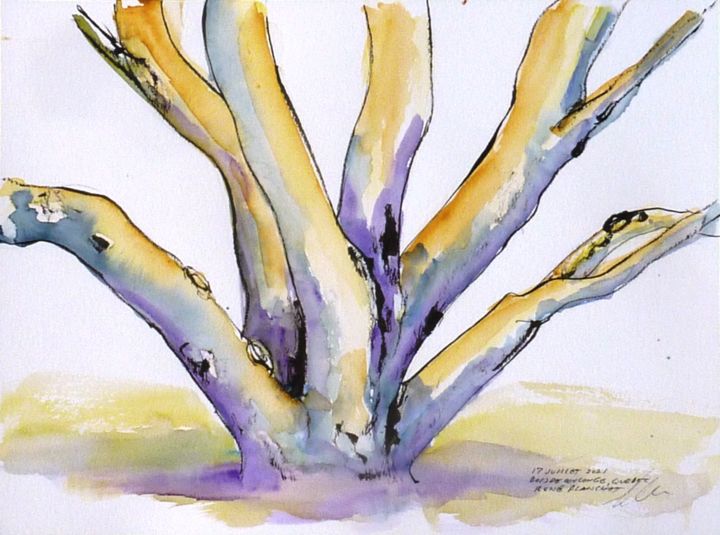 Ils poussent dans tous les sens au Bois de Coulonge Drawing, 9x12 in