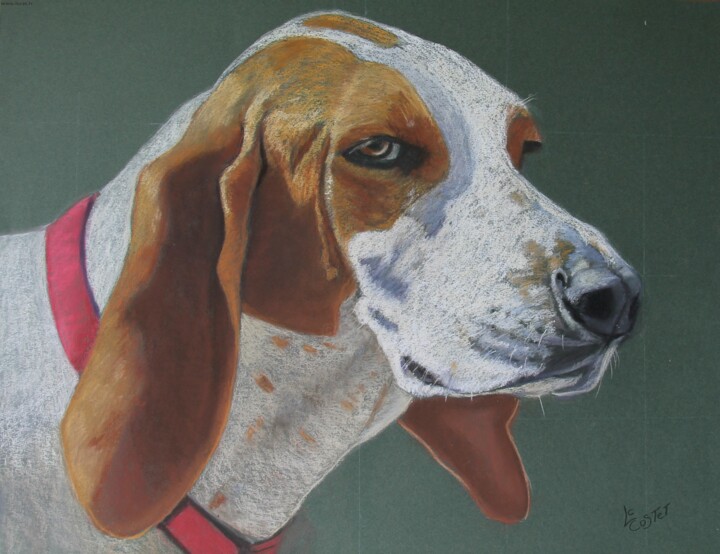 Peinture intitulée "Altesse" par Catherine Costet (Lccat), Œuvre d'art originale, Pastel