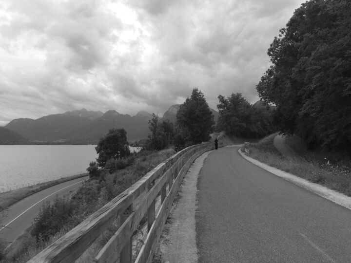 Retour de promenade 摄影