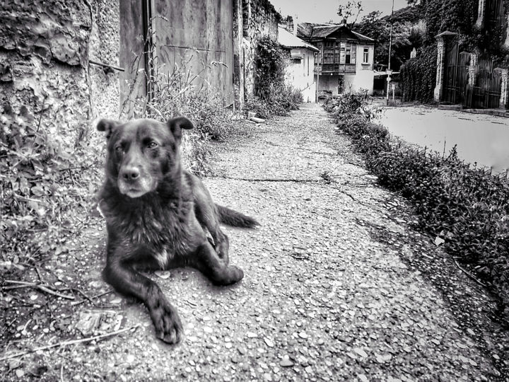 From the life of the resort town series 15 사진