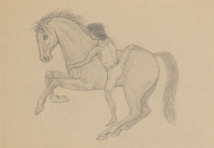 Pferd 绘画, 8.3x11.8 in