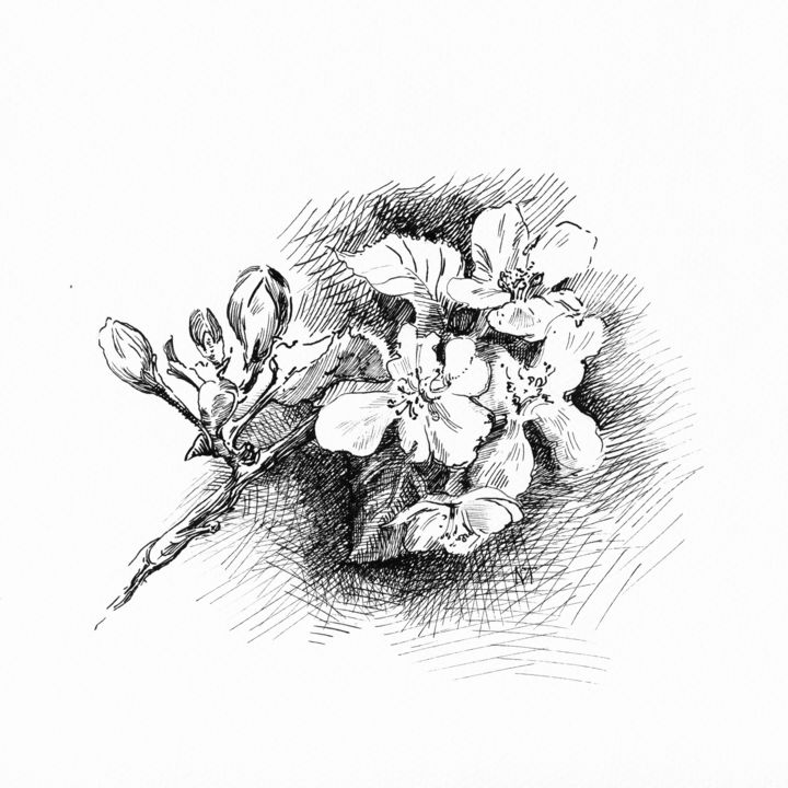 Blooming Apple Tree, 描画 Marina Tereshkinaによって | ArtMajeur