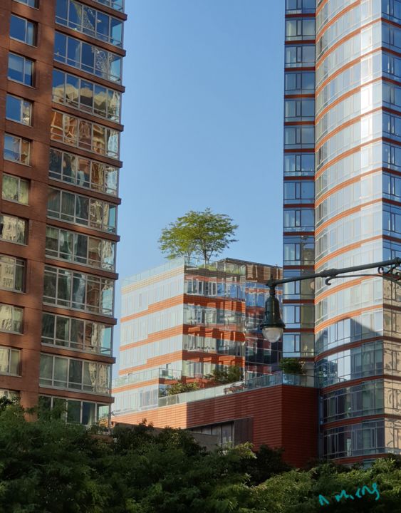 "Arbre immeubles" başlıklı Fotoğraf Nathalie Miens tarafından, Orijinal sanat, Dijital Fotoğrafçılık