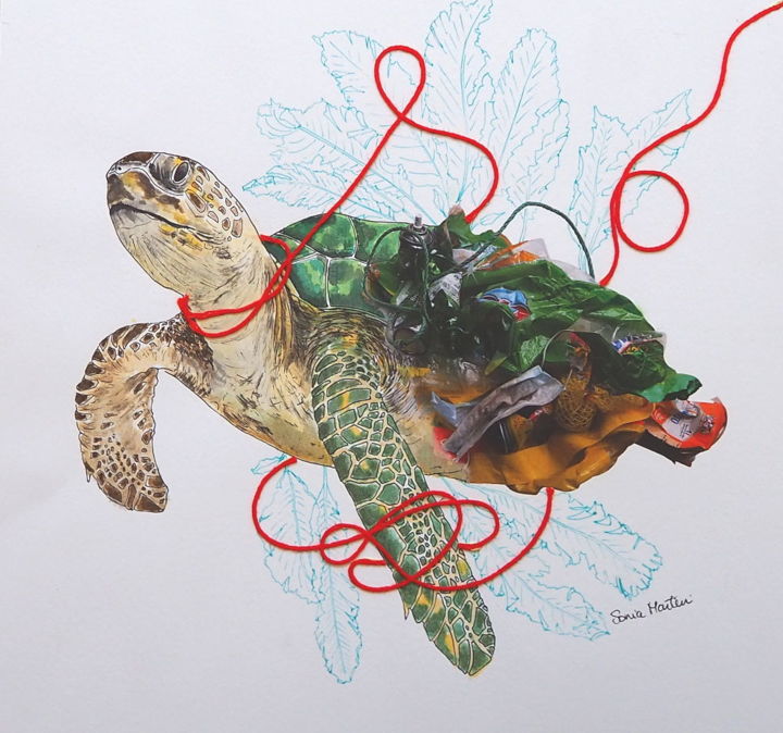 Peinture intitulée "Tourtelle" par Sonia Martin, Œuvre d'art originale, Aquarelle Monté sur Panneau de bois