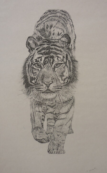 Tiger 绘画, 15x9.5 in